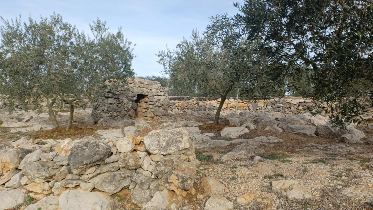 3Natura Avinyonet de Puigventós Buitenkant foto