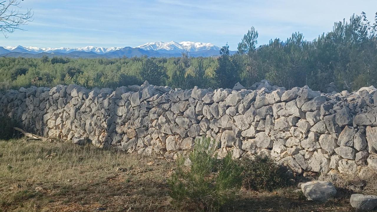 3Natura Avinyonet de Puigventós Buitenkant foto